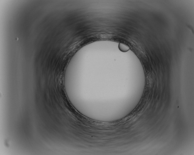 X0000097500032200802220852
