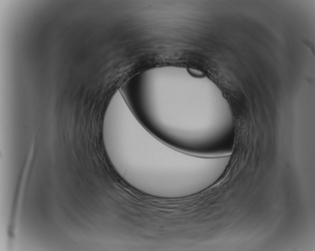 X0000097500033200802220852