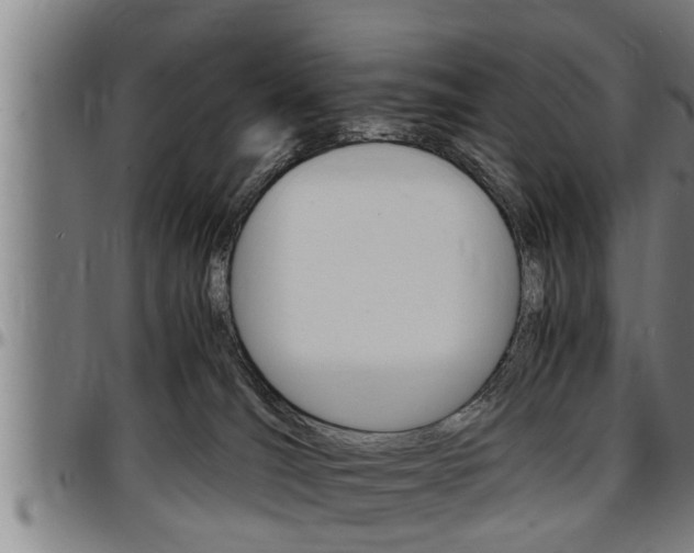 X0000097500036200802220852