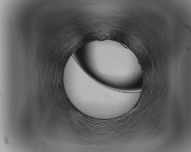 X0000097500037200802220852