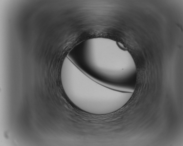 X0000097500039200802220852