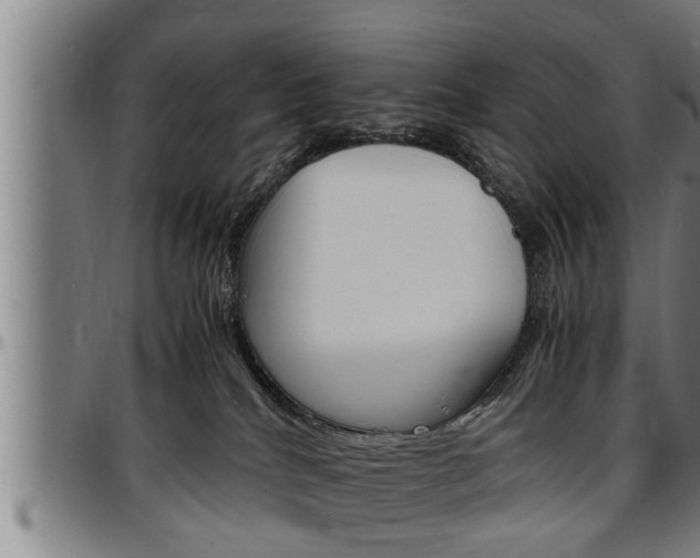 X0000097500040200802220852