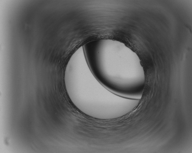 X0000097500041200802220852