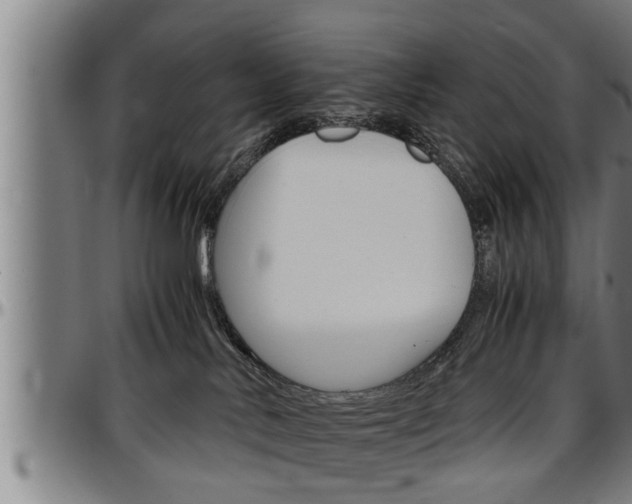 X0000097500042200802220852