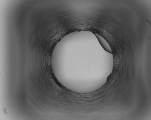 X0000097500043200802220852