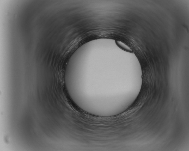 X0000097500044200802220852