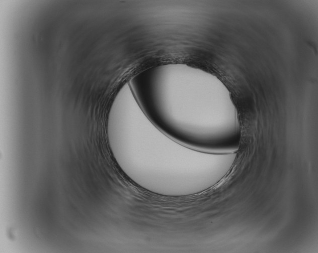 X0000097500045200802220851