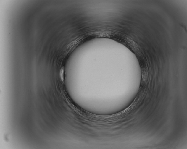 X0000097500047200802220851