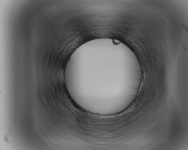 X0000097500048200802220851