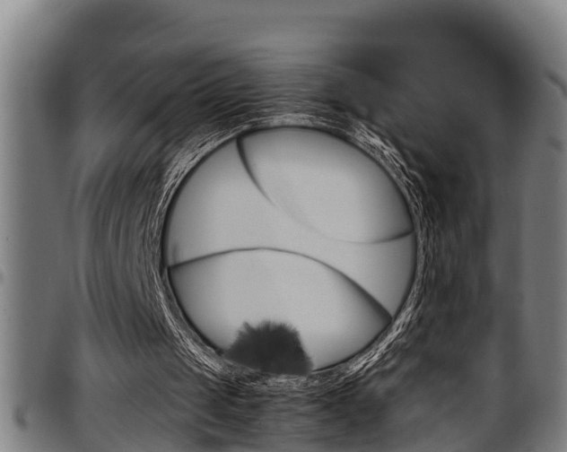 X0000097500049200802220851
