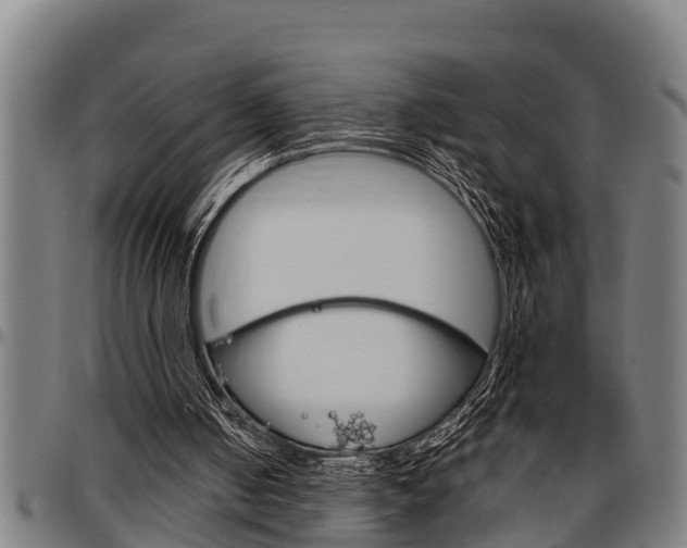 X0000097500050200802220851
