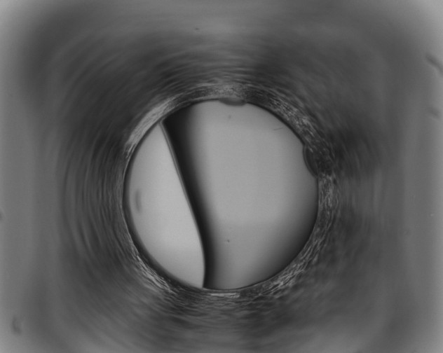 X0000097500051200802220851