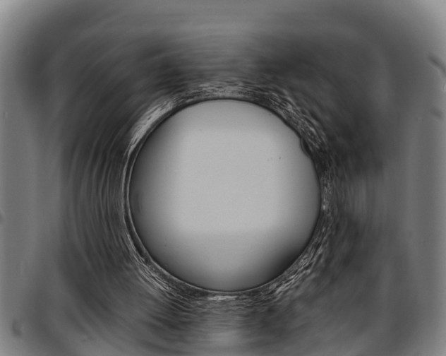 X0000097500052200802220851