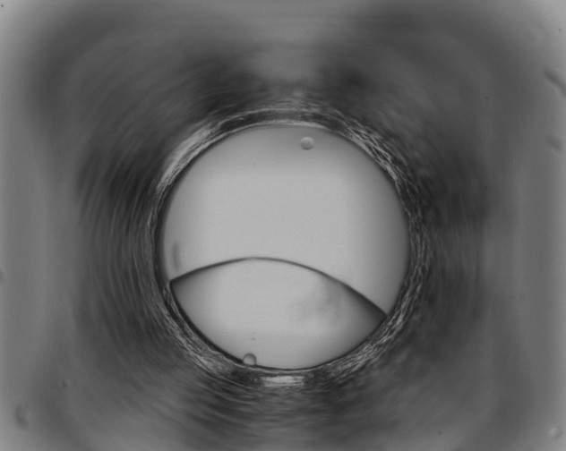 X0000097500053200802220851