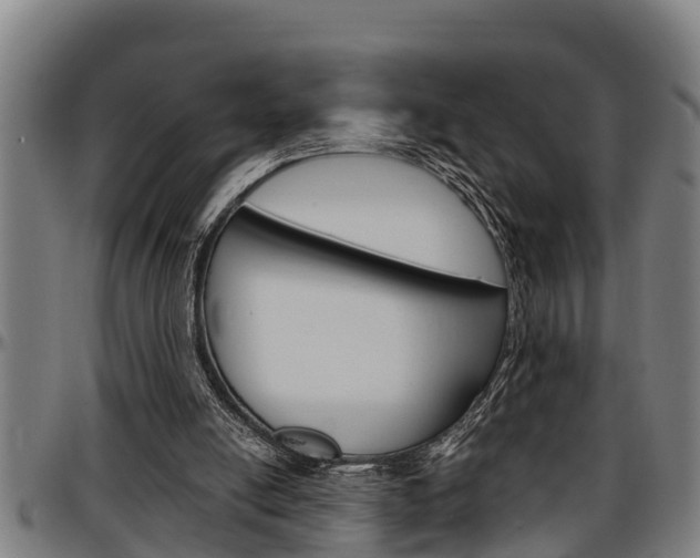 X0000097500054200802220851