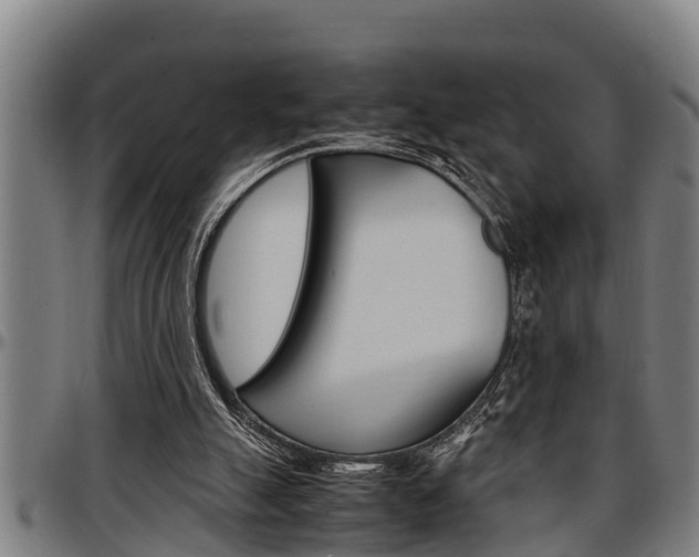 X0000097500055200802220851