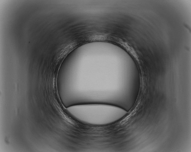 X0000097500057200802220851