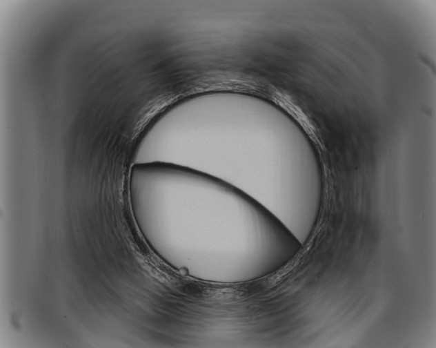 X0000097500058200802220851