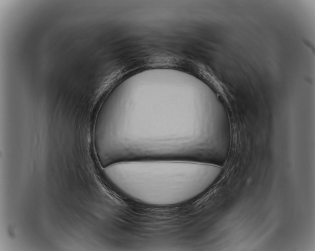 X0000097500059200802220851