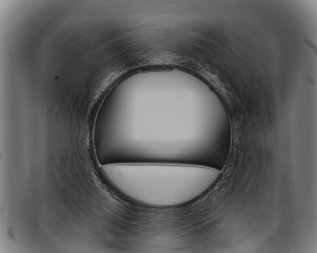 X0000097500060200802220851