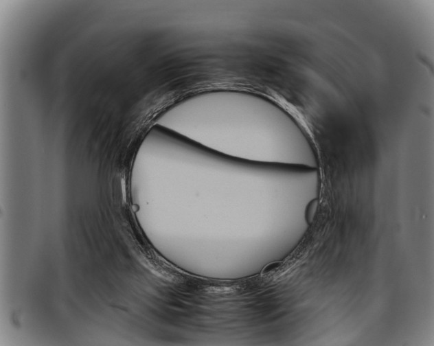 X0000097500061200802220851