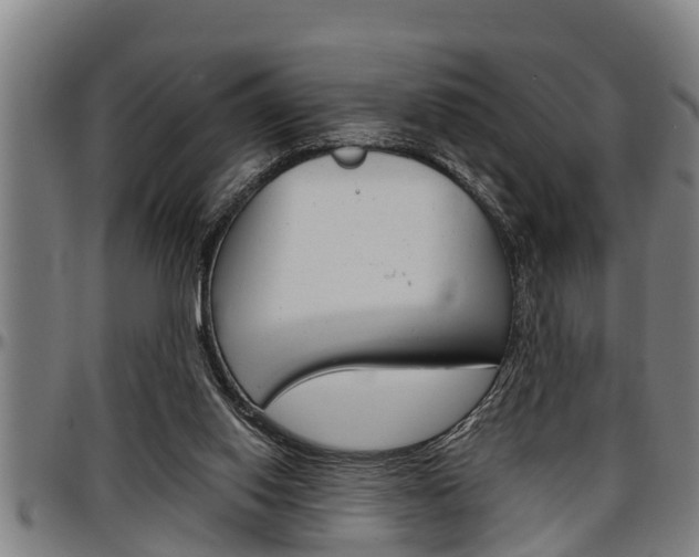 X0000097500062200802220851