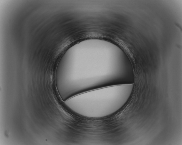 X0000097500063200802220851