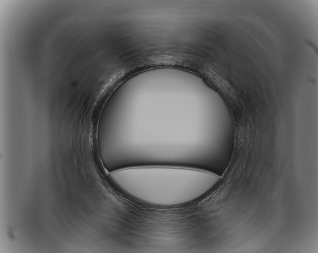 X0000097500064200802220851