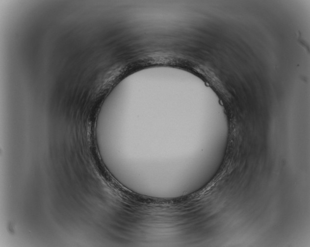 X0000097500066200802220851
