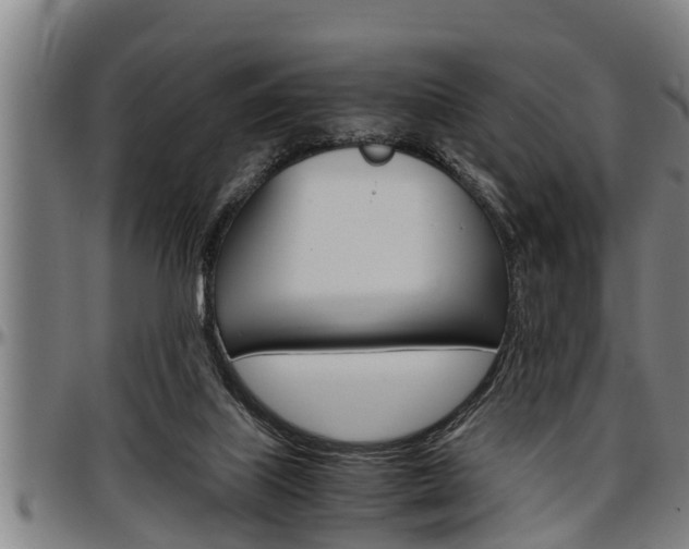 X0000097500067200802220851
