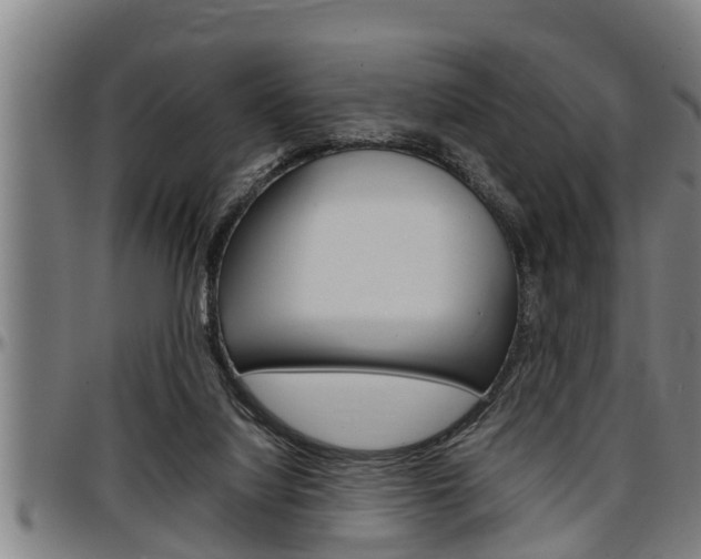 X0000097500068200802220851
