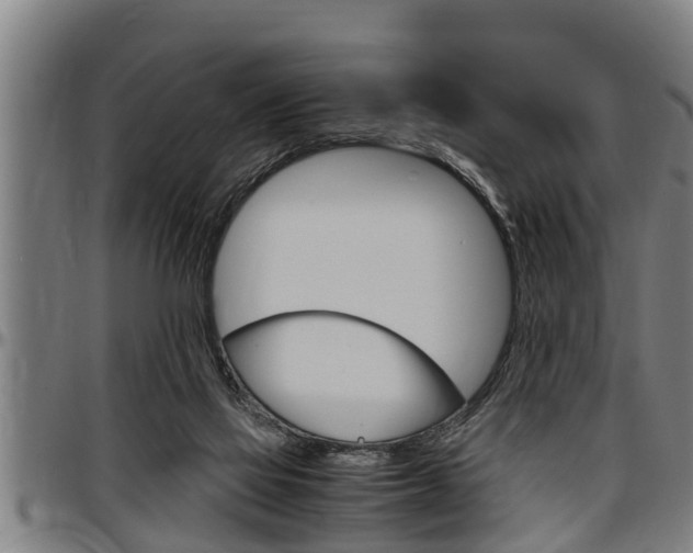 X0000097500069200802220851