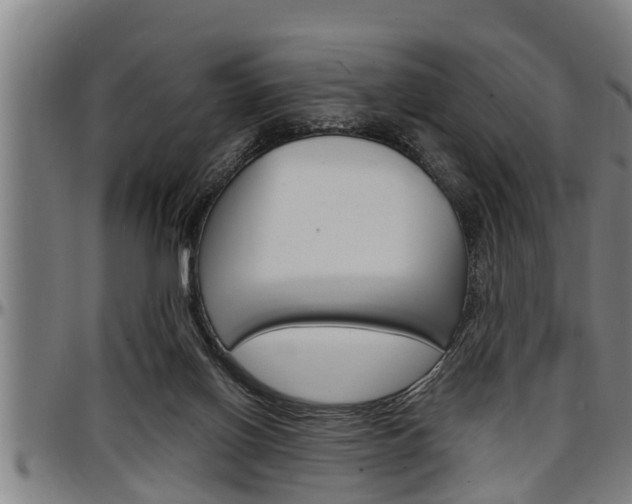 X0000097500070200802220851
