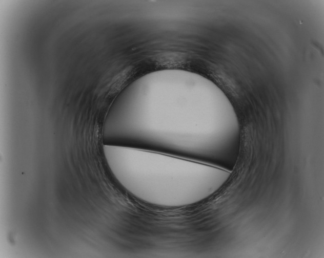 X0000097500073200802220851