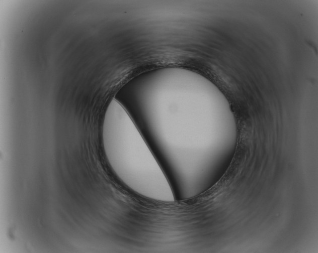 X0000097500076200802220851