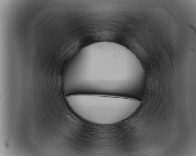 X0000097500077200802220851