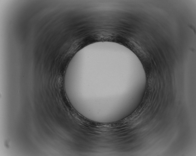 X0000097500079200802220851