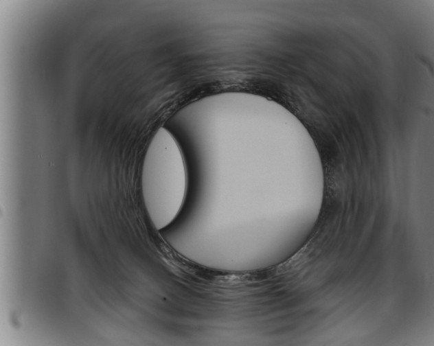 X0000097500082200802220851