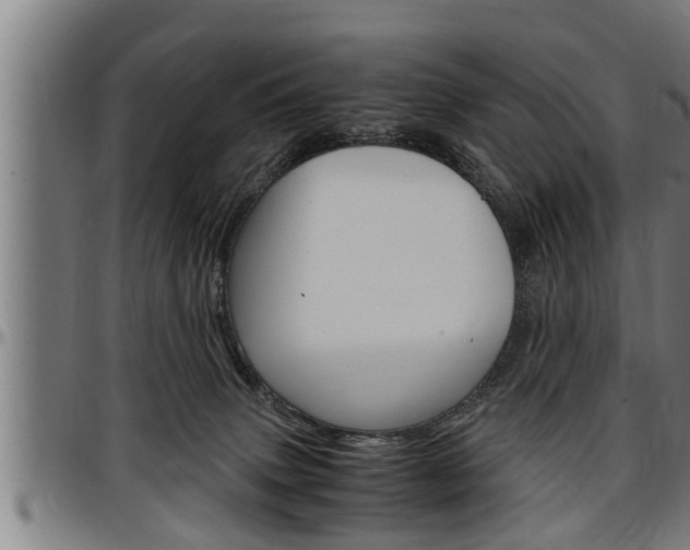 X0000097500083200802220851