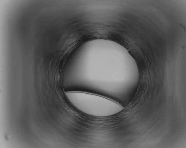 X0000097500084200802220851
