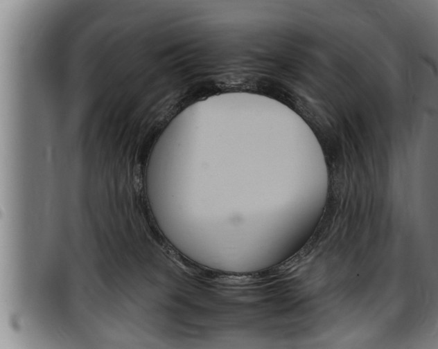 X0000097500085200802220851