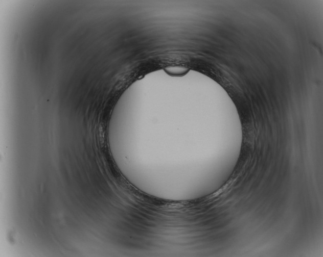 X0000097500086200802220851