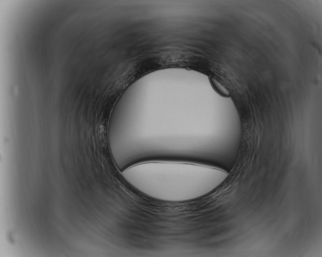 X0000097500087200802220851