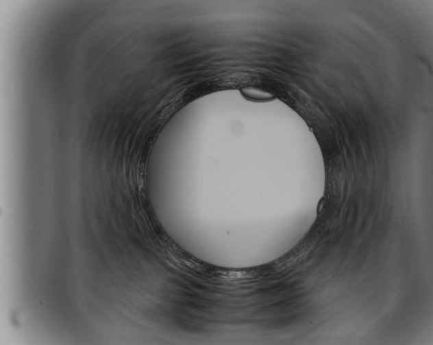 X0000097500091200802220851