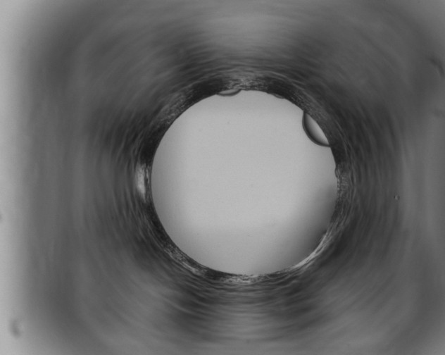 X0000097500094200802220851