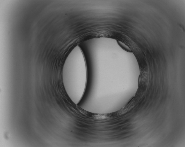 X0000097500095200802220851