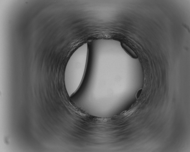 X0000097500096200802220851