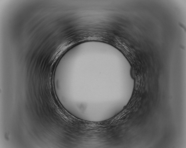 X0000097500098200802220851