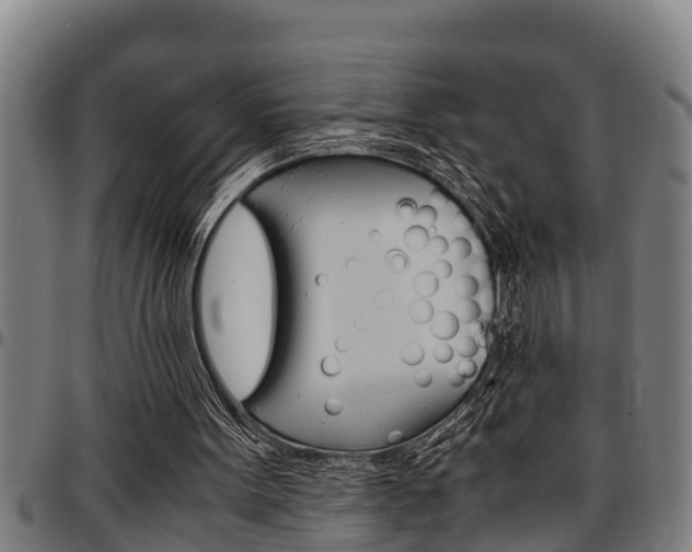 X0000097500099200802220851