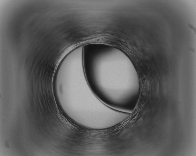 X0000097500100200802220851